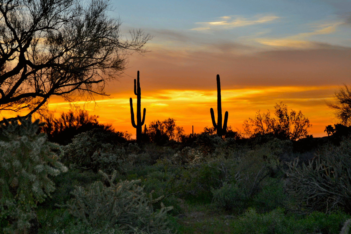 Desert Glow