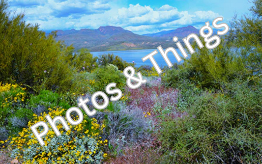 14) Roosevelt Lake, Arizona