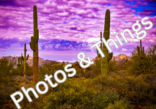 16) Arizona Purple Sunset