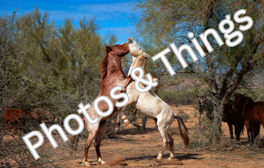 32) Salt River Challenge, Mesa Arizona