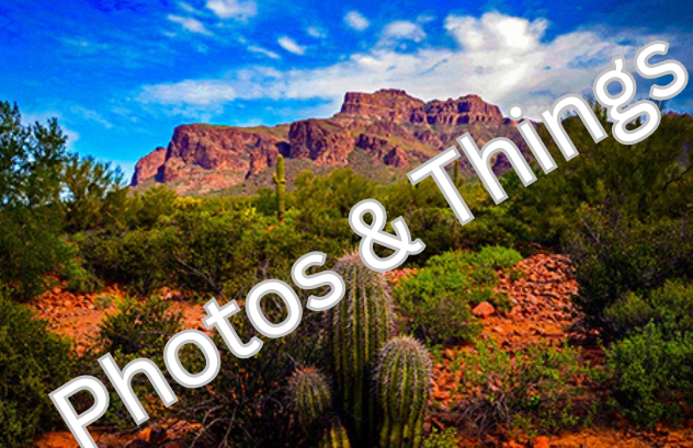 43) Superstition Mountain Barrel Cactus, Arizona