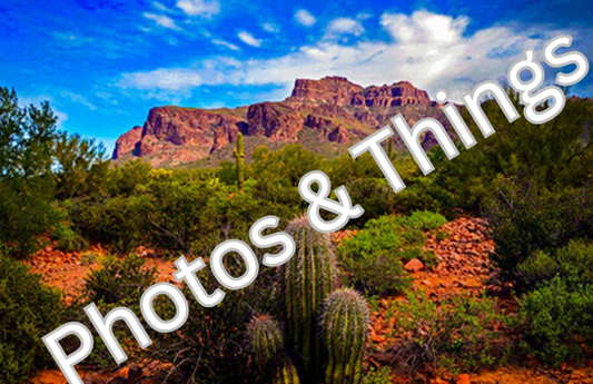 43) Superstition Mountain Barrel Cactus, Arizona