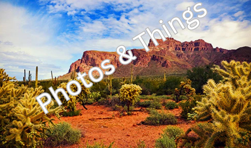 44) Superstition Mountain Cholla, Arizona