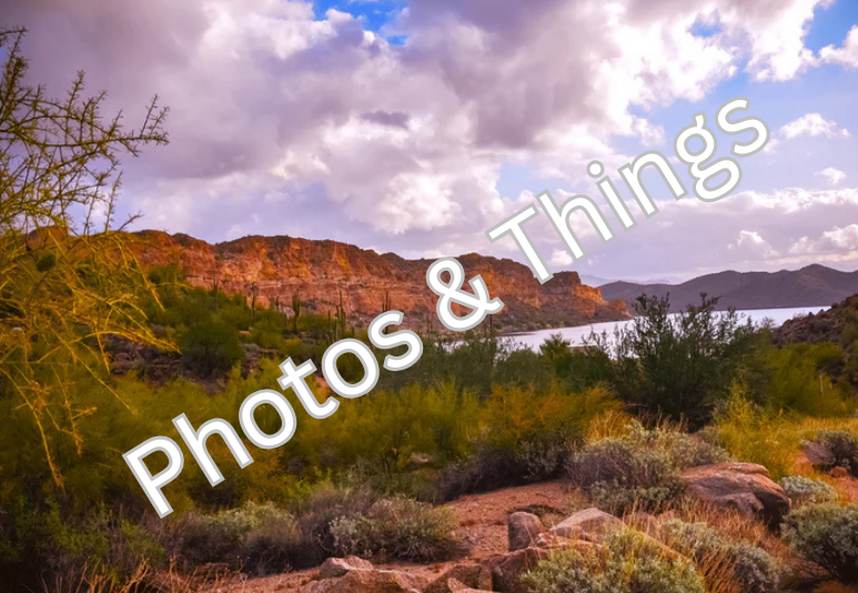 48) Saguaro Lake, Apache Junction, Arizona