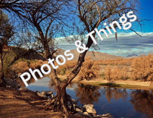 50) Coon Bluff, Arizona is Autumn's Embrace by the River