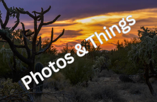 52) Arizona Desert at Dusk in the Salt River