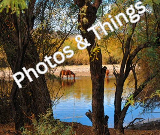 55) Salt River Horses Drinking, Mesa Arizona