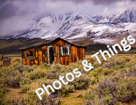 63) California Hwy 395 Snow Capped Mountains