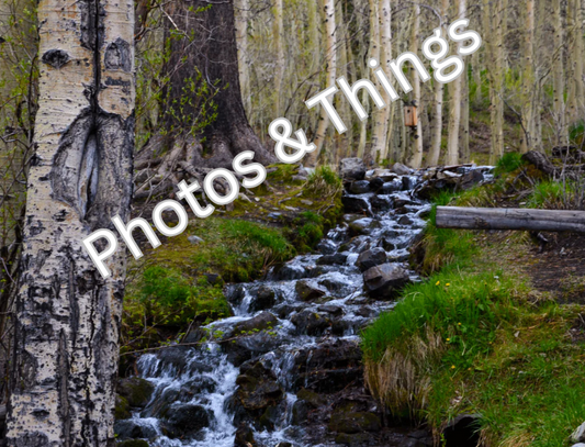 70) June Lake, Alger Creek, California