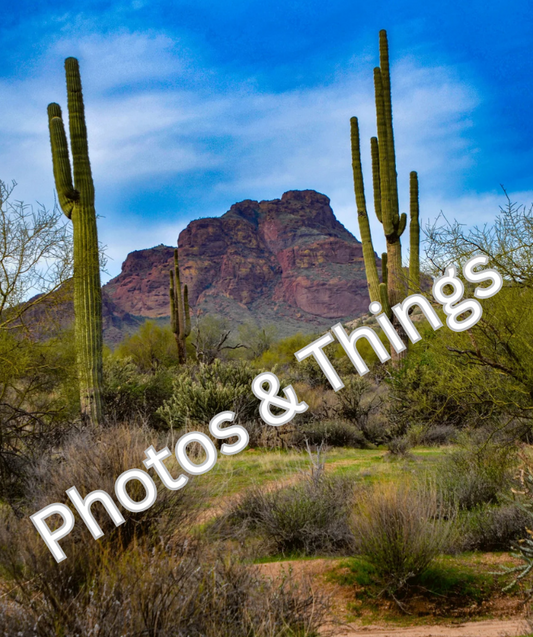 72) Red Mountain, Mesa Arizona