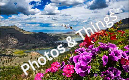 9) June Lake California in Bloom