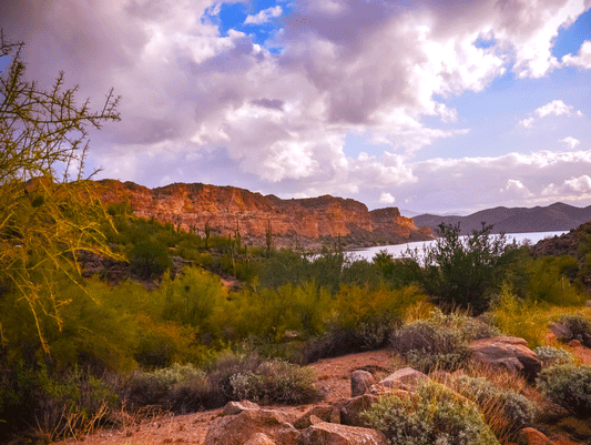 Desert Evening Glow